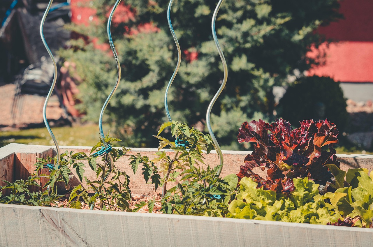 créer un potager surélevé : guide pratique pour débutants découvrez les avantages d'un jardin surélevé : facilité d'entretien, meilleure drainage et productivité accrue pour vos légumes et fleurs.