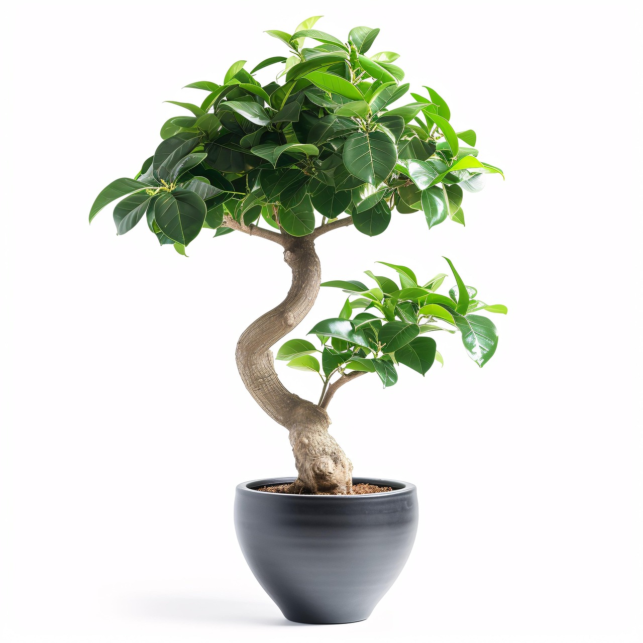 idées déco récup pas cher pour un intérieur tendance et durable découvrez des idées de décoration intérieure éco-responsable alliant style et respect de l'environnement pour une maison saine et tendance.