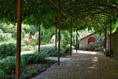 Installer une pergola adossée